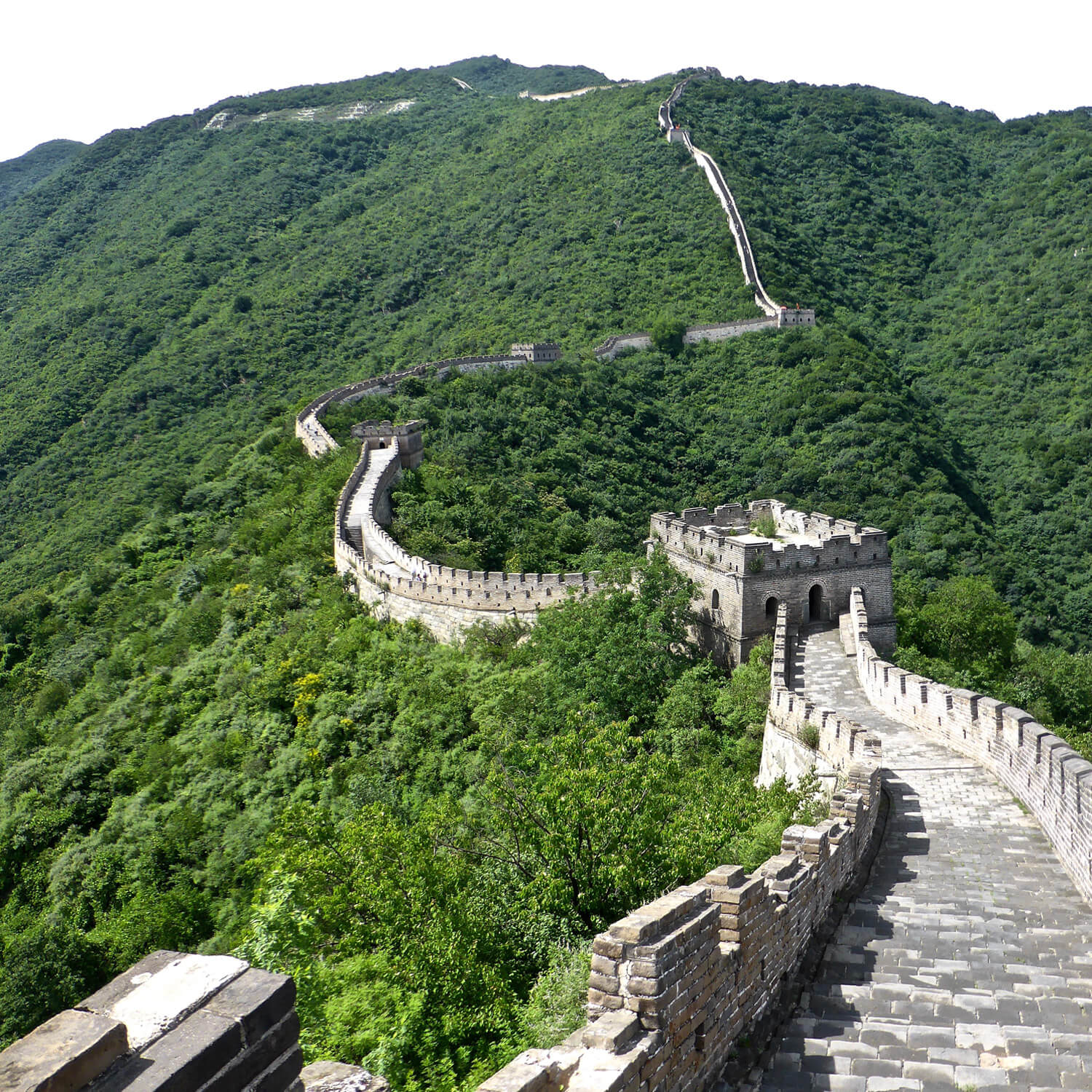image-3